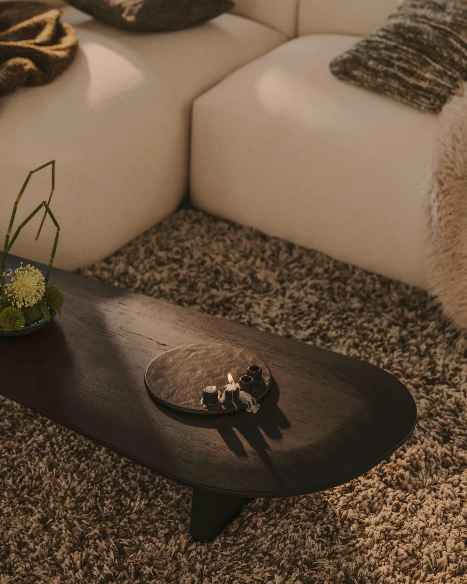 Black Organic Japandi Coffee Table
